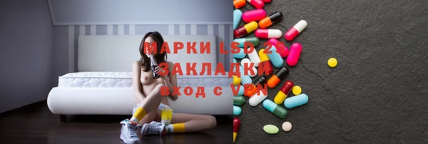 прущие грибы Осташков