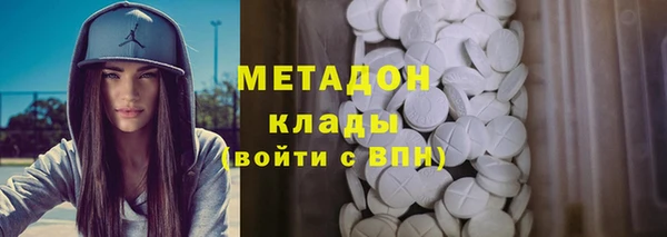 индика Осинники