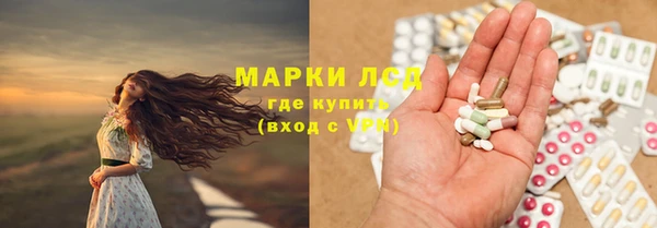 индика Осинники
