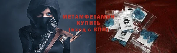 индика Осинники