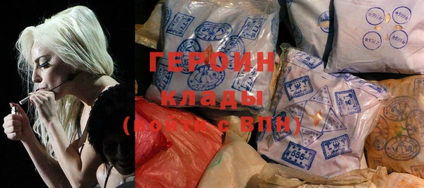 индика Осинники