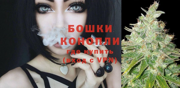 индика Осинники