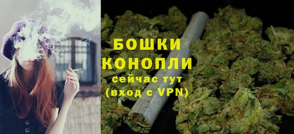 прущие грибы Осташков