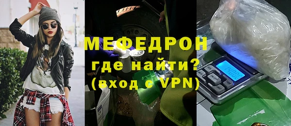 индика Осинники